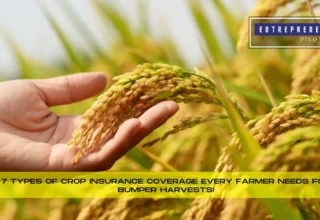 Types Of Crop Insurance Coverage